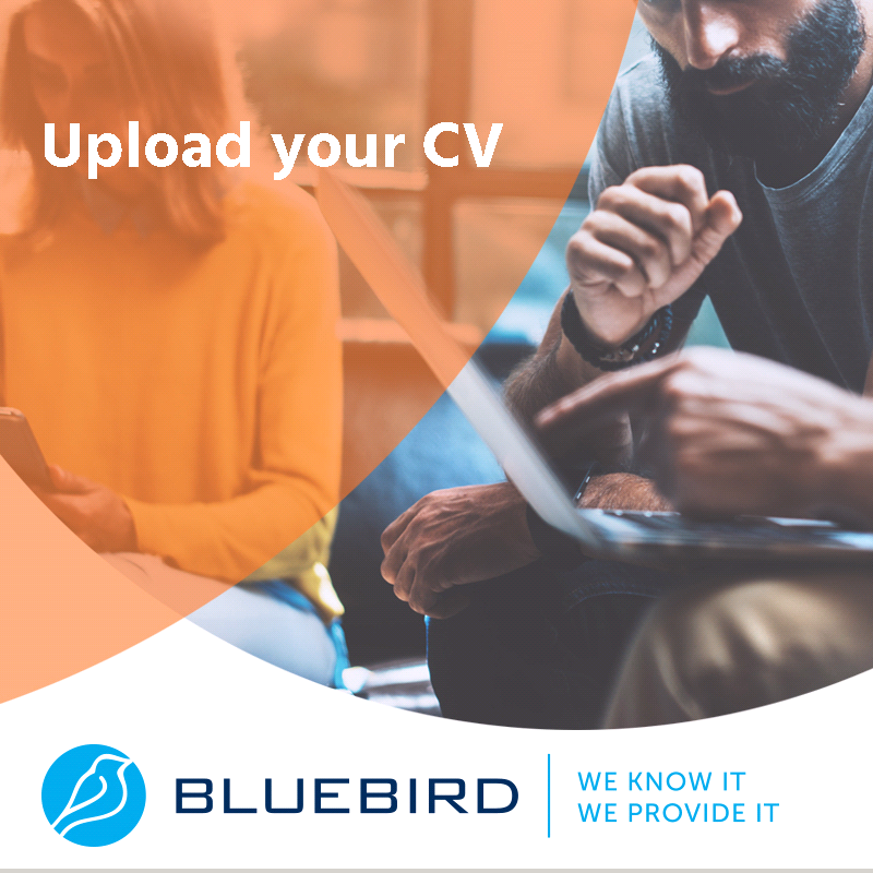 Upload your CV - Bluebird