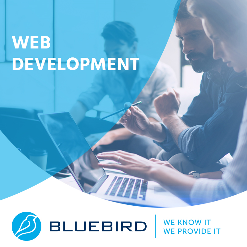 Web Development Services - Bluebird