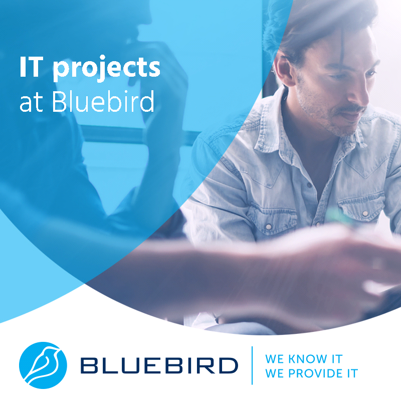 IT projects at Bluebird