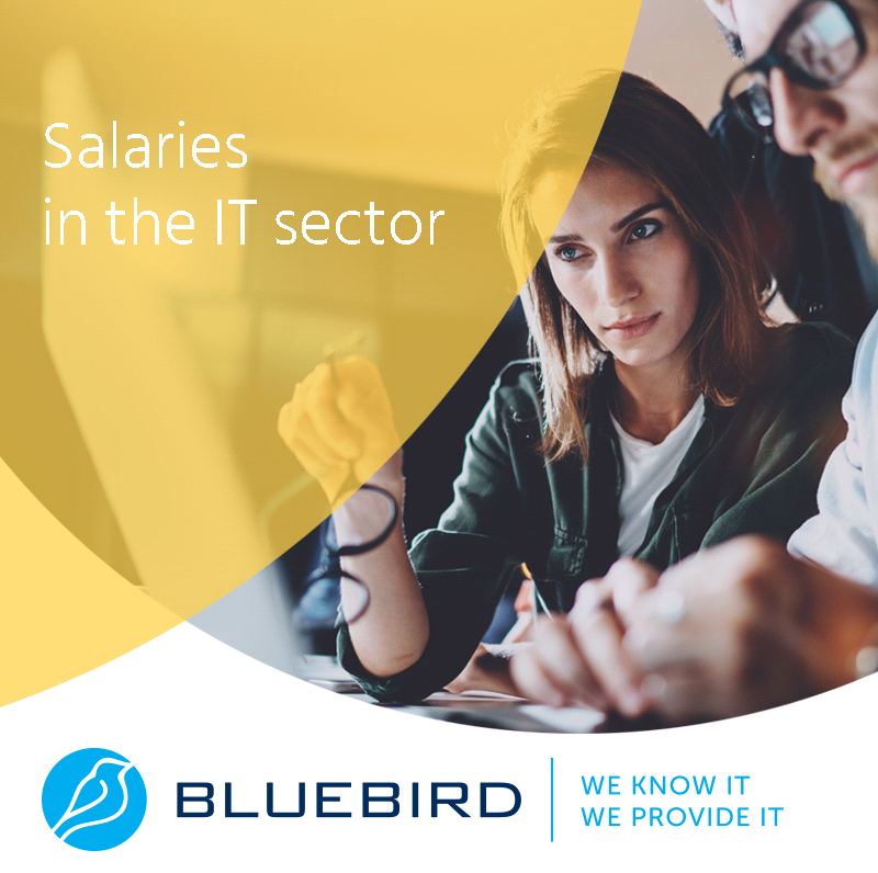 Salaries in the IT sector - Bluebird blog