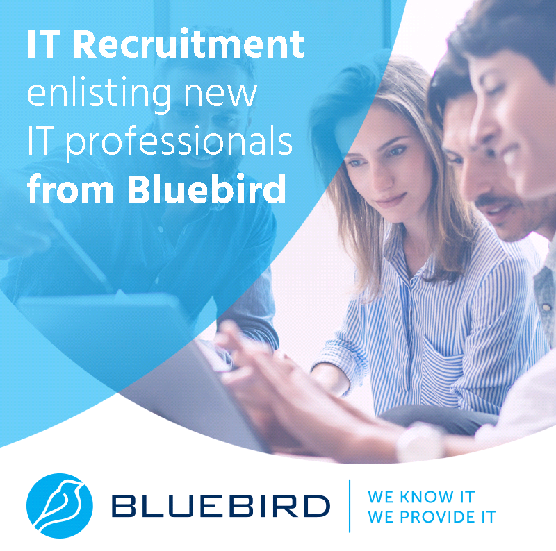 Bluebird - IT recruitment