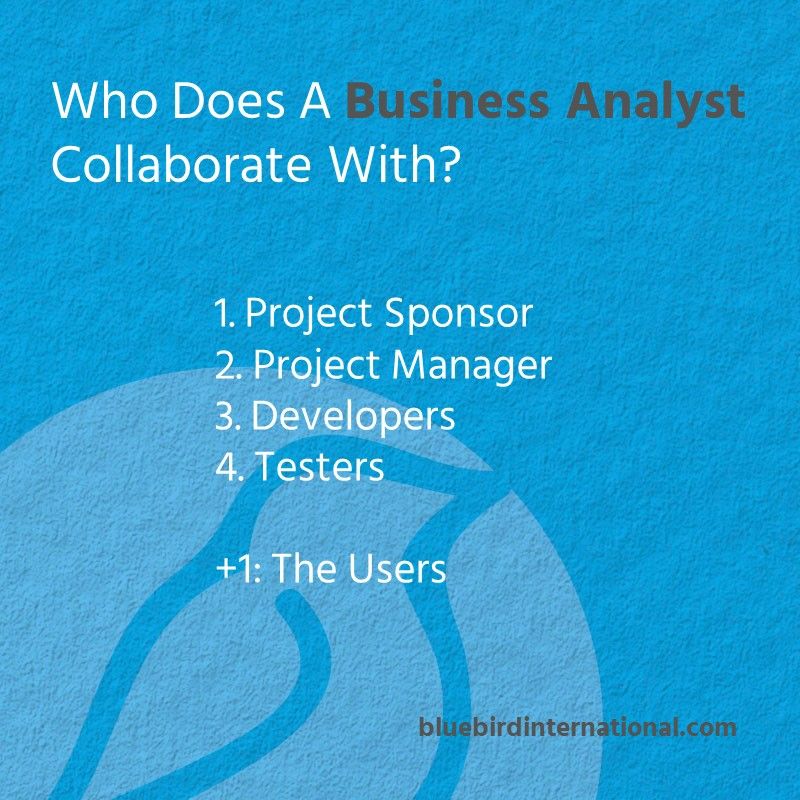 Who Does a Business Analyst Collaborate With - Bluebird Blog