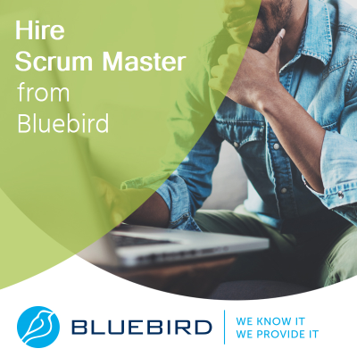 Hire Scrum Master from Bluebird