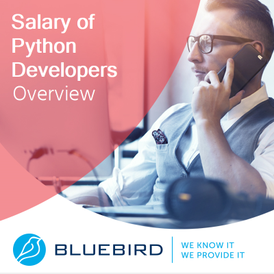 Python Developer Salary Overview - Bluebird Blog