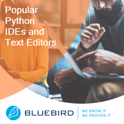 Python IDEs and Text Editors - Bluebird Blog