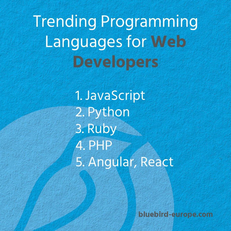 Web Development Jobs - Programming Languages - Bluebird Blog