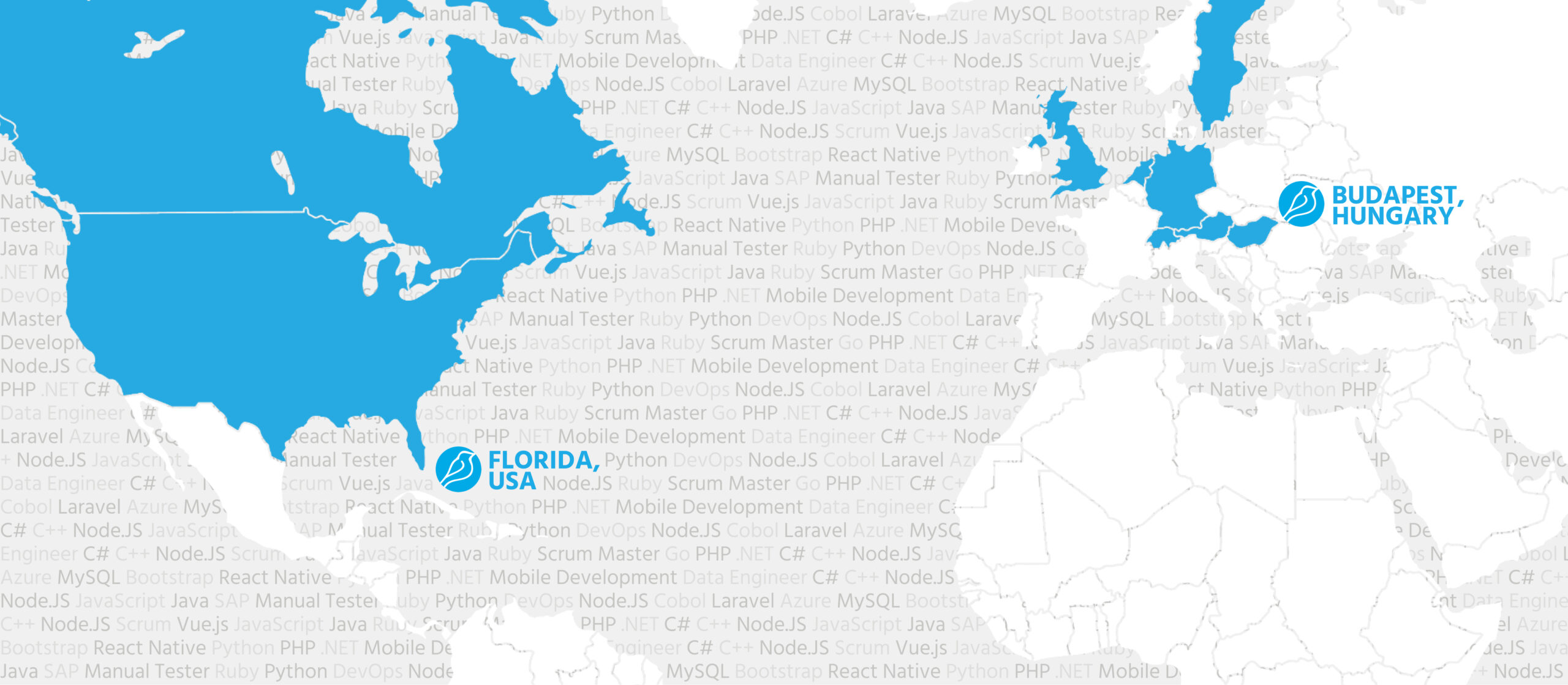 Bluebird Global map