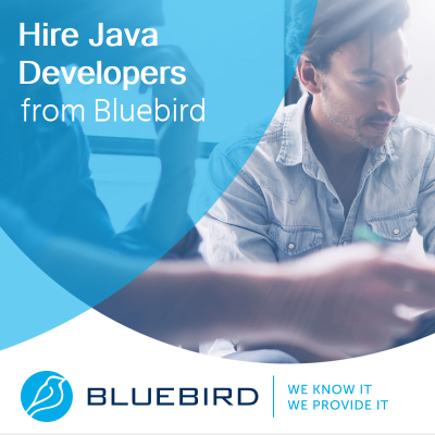 Hire Java Developers - Bluebird