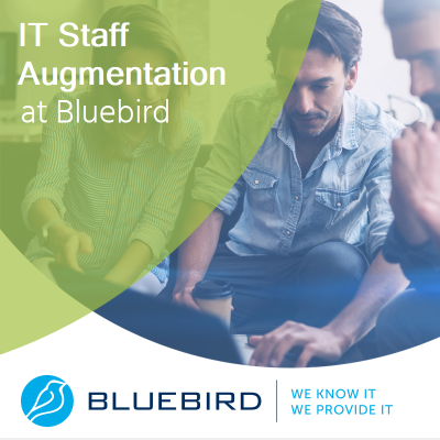 IT Staff Augmentation - Bluebird Blog