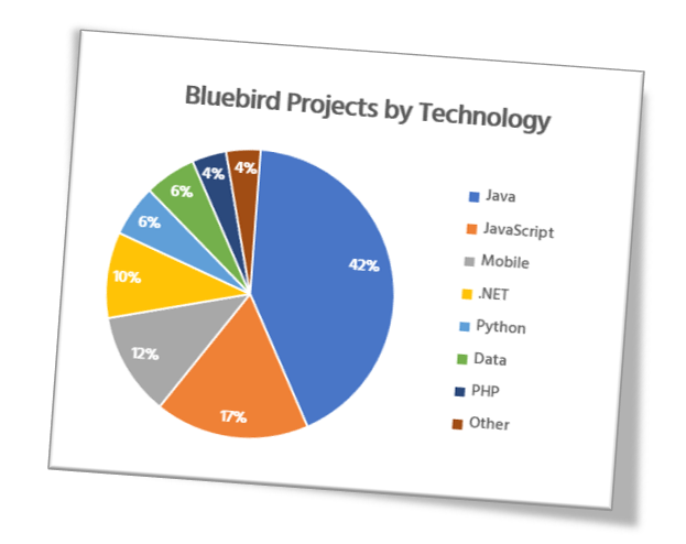 Hire Java Developers from Bluebird