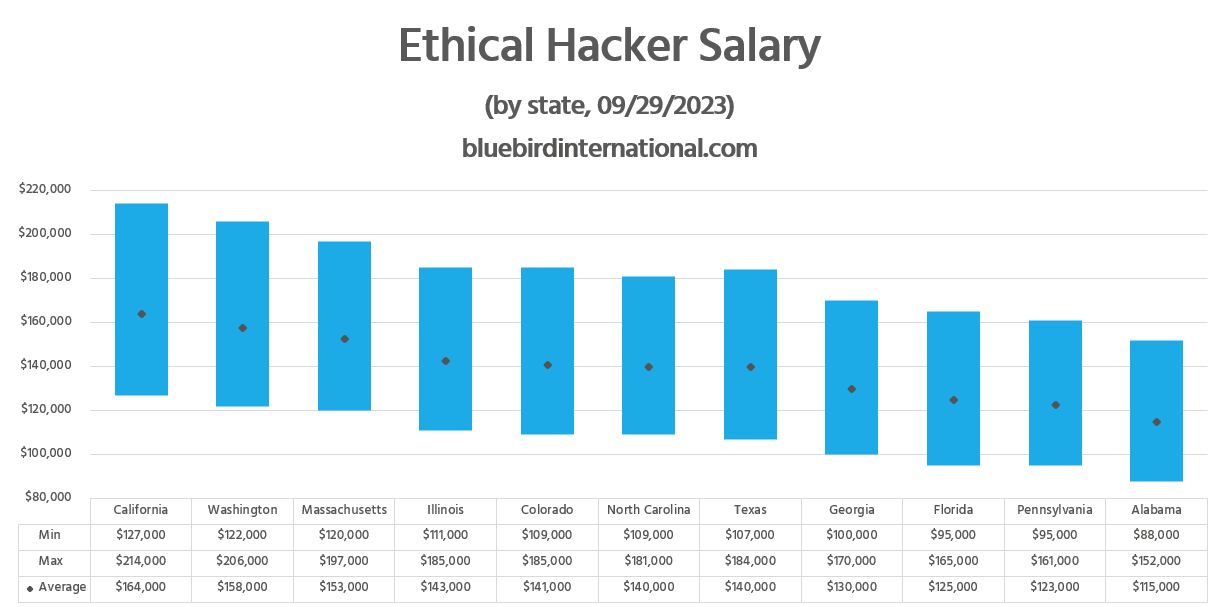 Senior Ethical Hacker Salary - Bluebird Blog