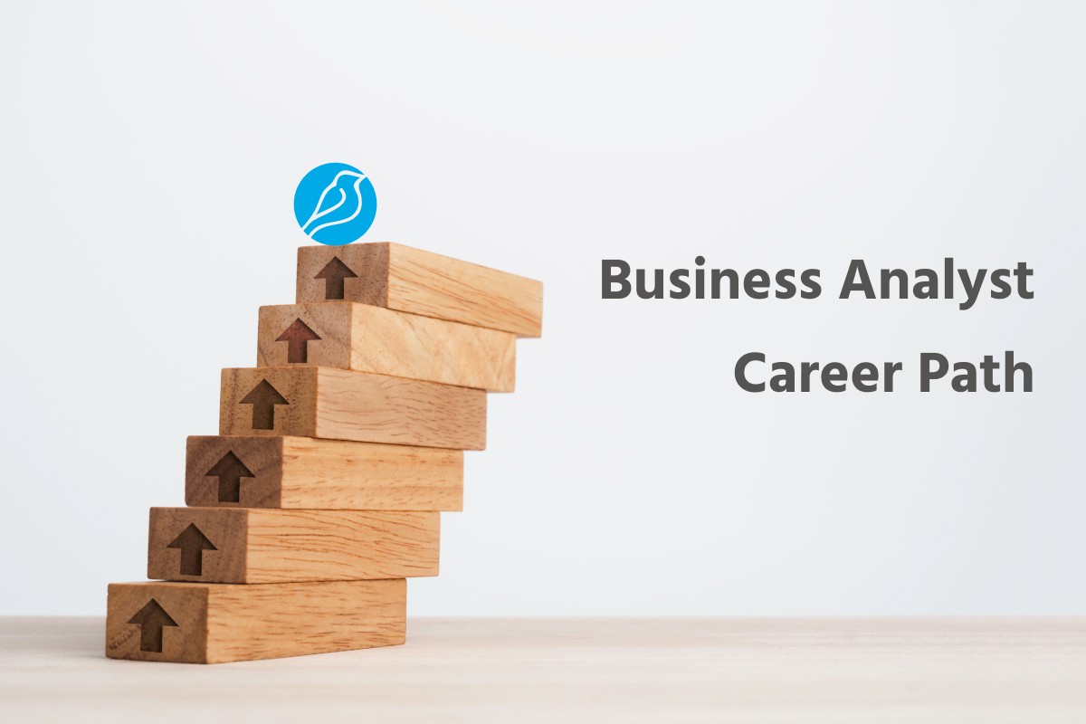 Business Analyst Career Path – Bluebird Blog