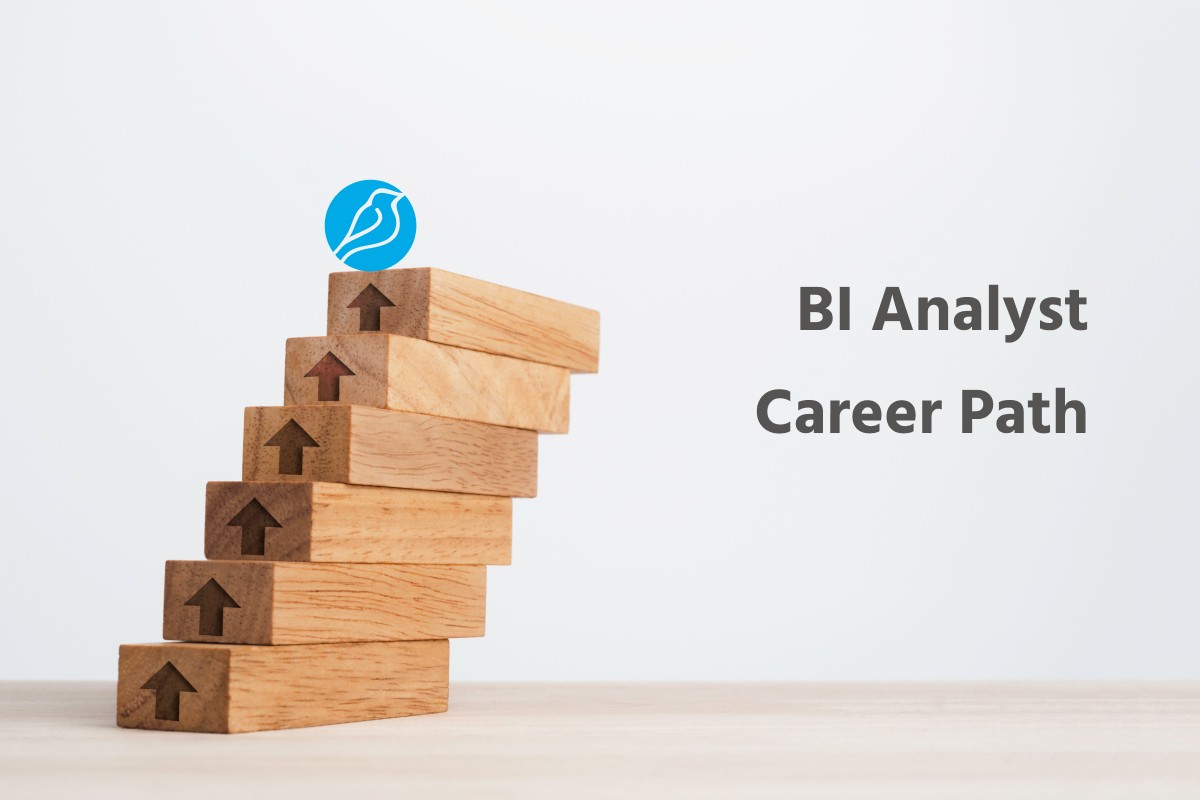 Business Intelligence Analyst Career Path – Bluebird Blog