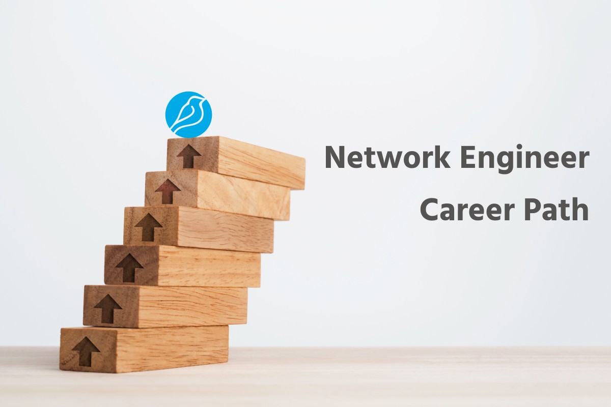 Network Engineer Career Path – Bluebird Blog