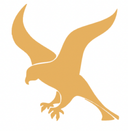 Falcon - Python API Frameworks - Bluebird
