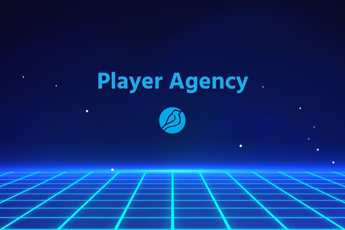 Player Agency – Bluebird Blog