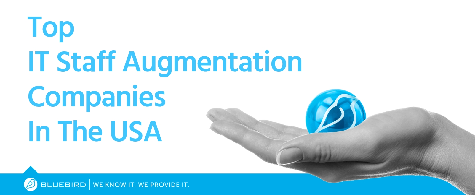 Top IT Staff Augmentation Companies in the USA