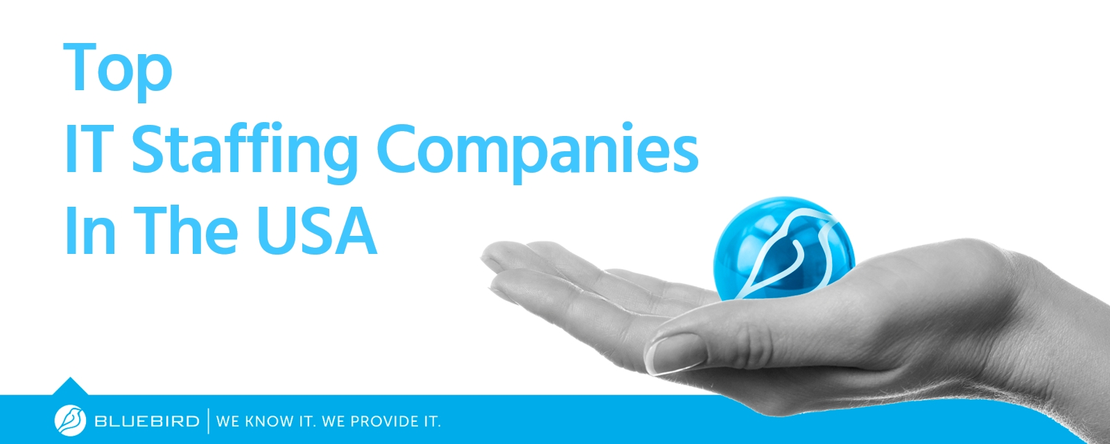 Top IT Staffing Companies in the USA