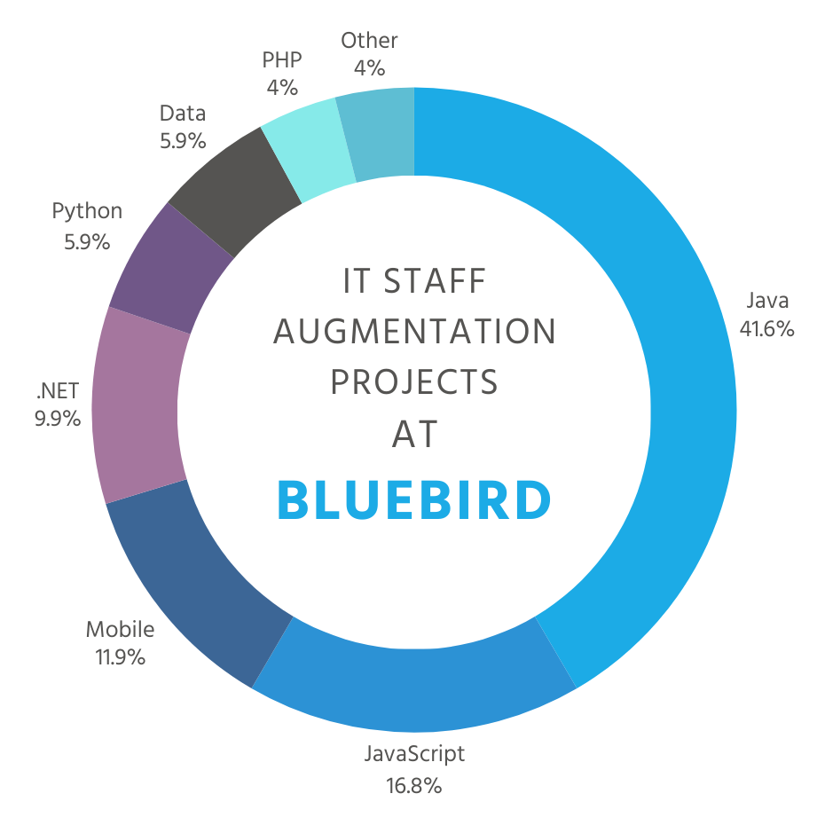 IT Staff Augmentation Projects at Bluebird