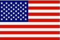 Bluebird office - USA flag